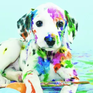 Diamond Art Dalmatian 30cm X 30cm
